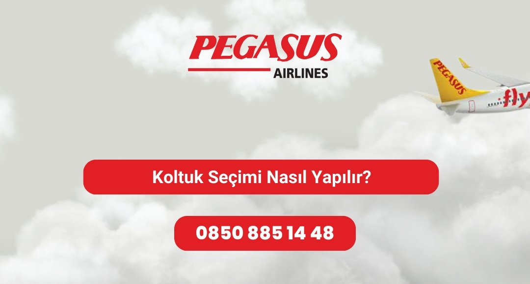 koltuk seçimi nasıl yapılır