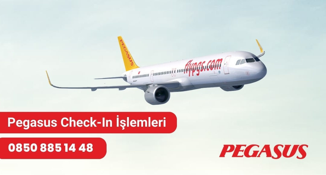 pegasus check-in işlemleri