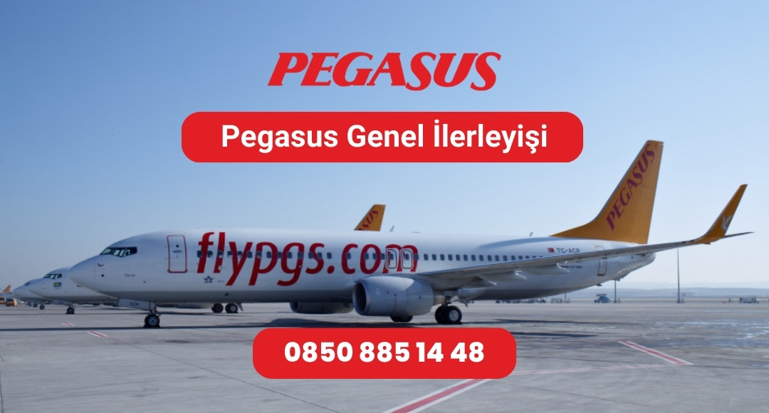 pegasus genel ilerleyiş
