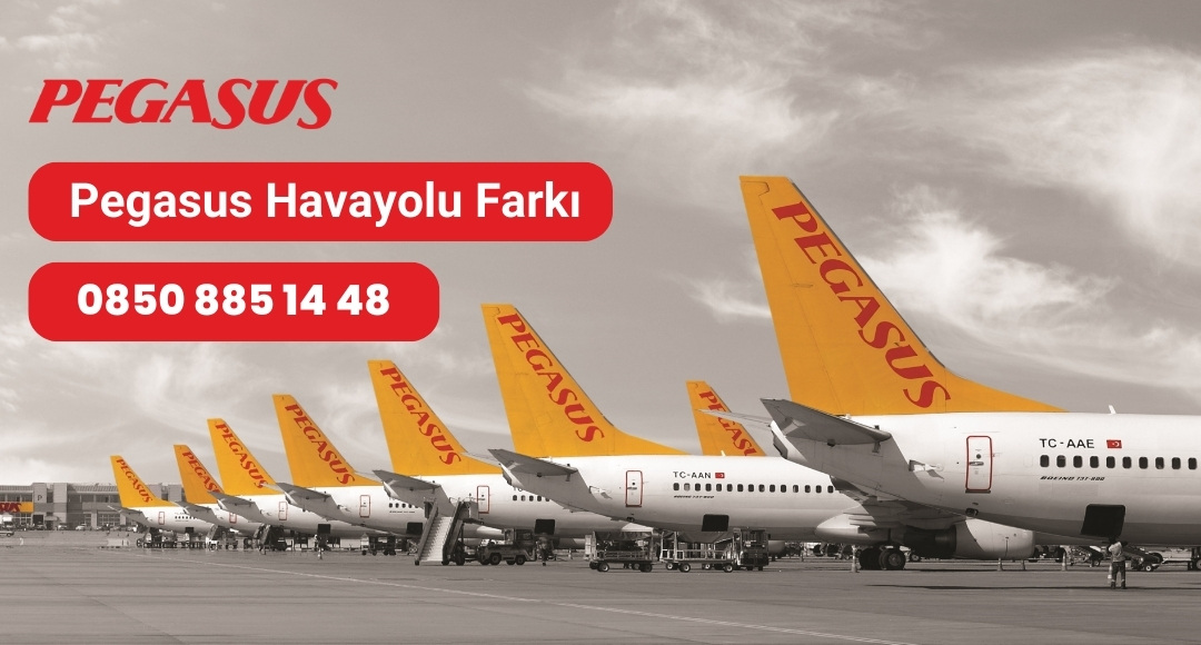 pegasus havayolu farki