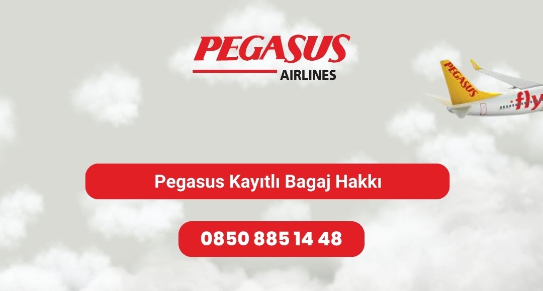 pegasus kayıtlı bagaj hakkı