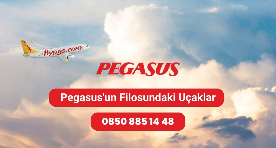 pegasus un filosundaki uçaklar