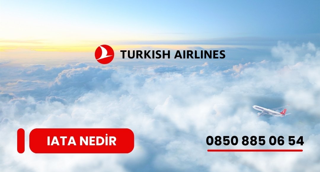 IATA nedir