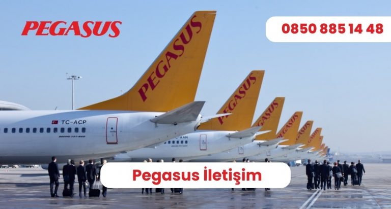 pegasus iletişim