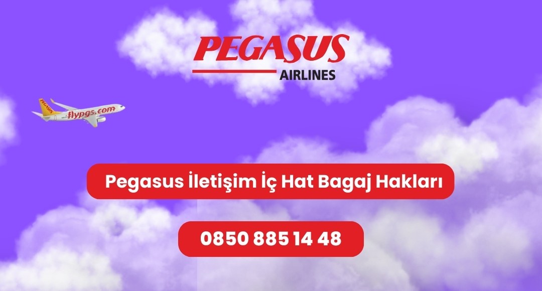 pegasus iletişim iç hat bagaj hakları