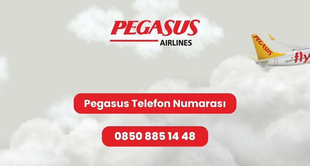 pegasus telefon numarasi